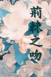 荆棘之吻