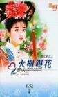 火树银花（闹元宵之三）