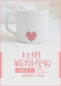 （全职高手同人）(全职高手)杜明被掰弯啦