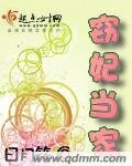 《窃妃当家》