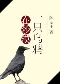 一只乌鸦在沙漠