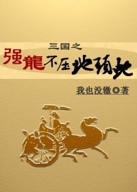 （三国同人）三国之强龙不压地头蛇