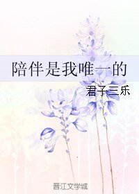 （综同人）陪伴是我唯一的