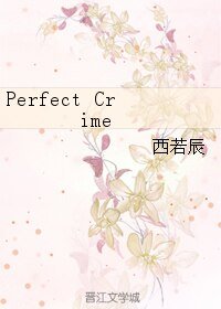 Perfect Crime