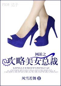 网游之攻略美女总裁gl