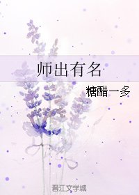 《师出有名》
