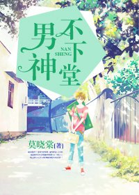《重生之男神不下堂/来归》