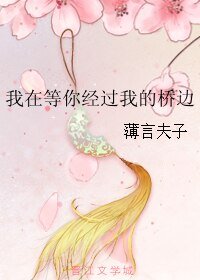 我在等你经过我的桥边