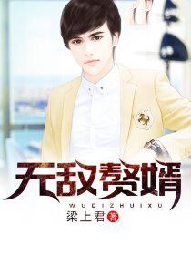 无敌赘婿