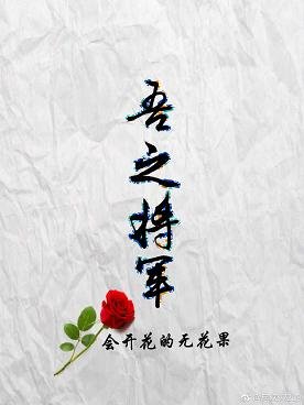 吾之将军