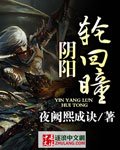 阴阳轮回瞳