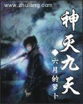 神灭九天