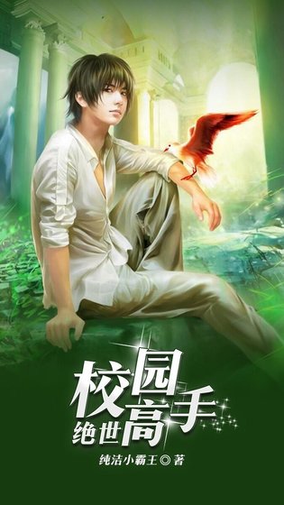 《校园绝世高手》