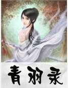 青羽录