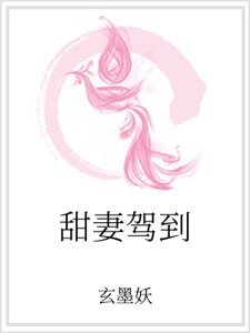 甜妻驾到