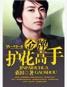 《金牌护花高手》