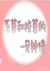 《系草和校草的一见钟情》