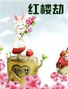 红楼劫