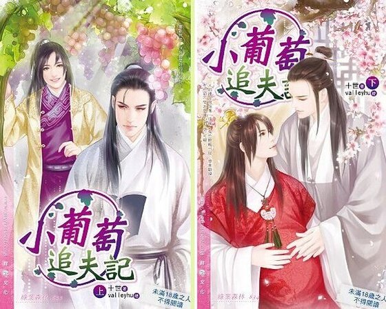 小葡萄追夫记（出书版）