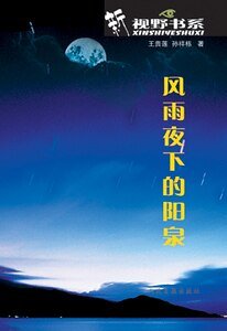 风雨夜下的阳泉