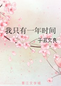 《我只有一年时间》