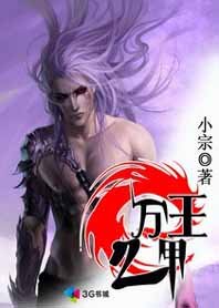 王功神甲称霸三界：万甲之王