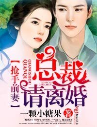 抢手前妻，总裁请离婚