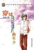 《穿过风花雪月的年少(出书版)》