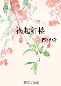 祸起红楼