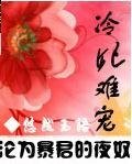 冷妃难宠：沦为暴君的夜奴