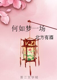 《何如梦一场》