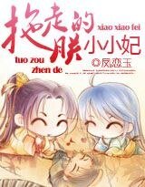《拖走朕的小小妃》