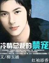 冷情总裁的姐弟恋