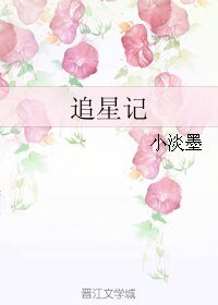 《追星记》