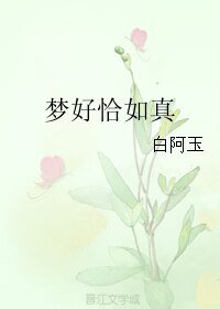 梦好恰如真