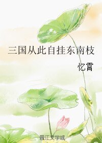 《三国从此自挂东南枝》