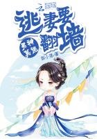男神莫追：逃妻要翻墙