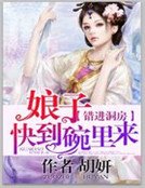 《错进洞房:娘子快到碗里来》