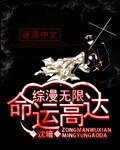 《综漫无限命运高达》