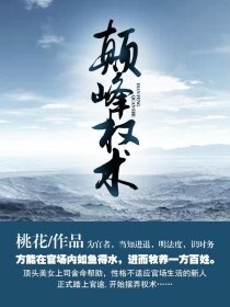 《巅峰权术》
