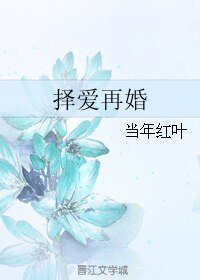 《择爱再婚》