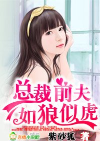 总裁前夫，如狼似虎