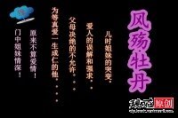 风殇牡丹