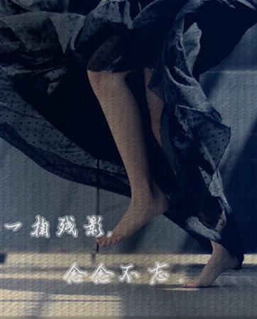 一掬残影，念念不忘。