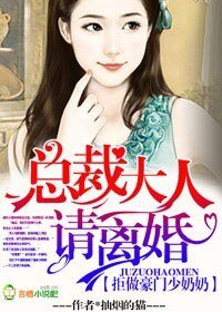 《拒做豪门少奶奶,总裁大人请离婚》