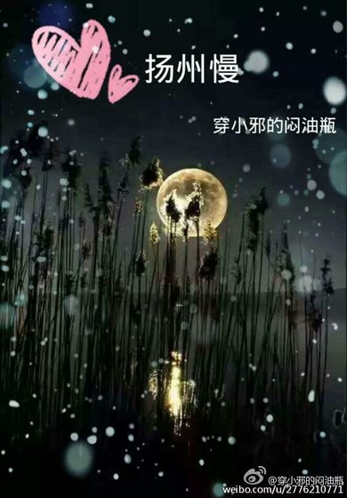 扬州慢——雨薇为谁开