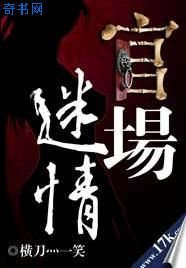 官场迷情