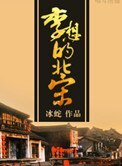 《李想的北宋》