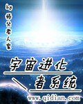 《宇宙进化者系统》