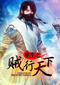 《重生之贼行天下》